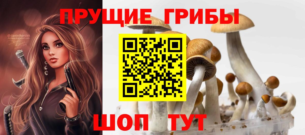 Псилоцибиновые грибы прущие грибы Железногорск